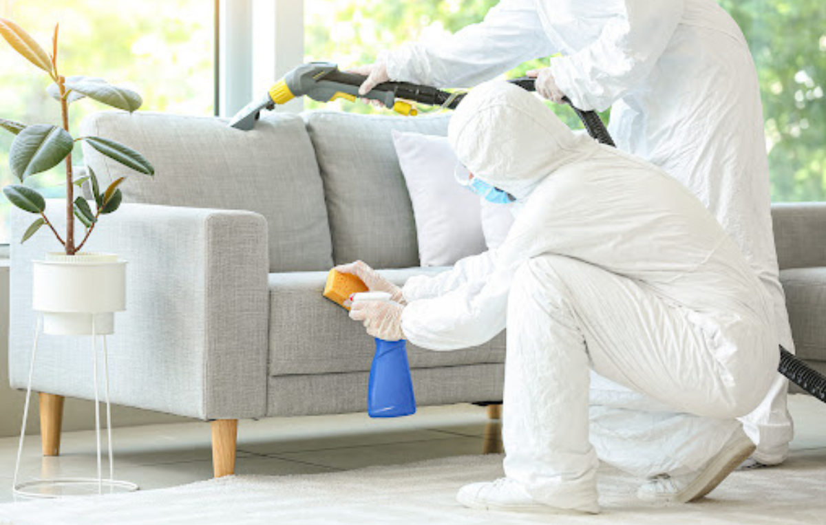 Biohazard cleanup