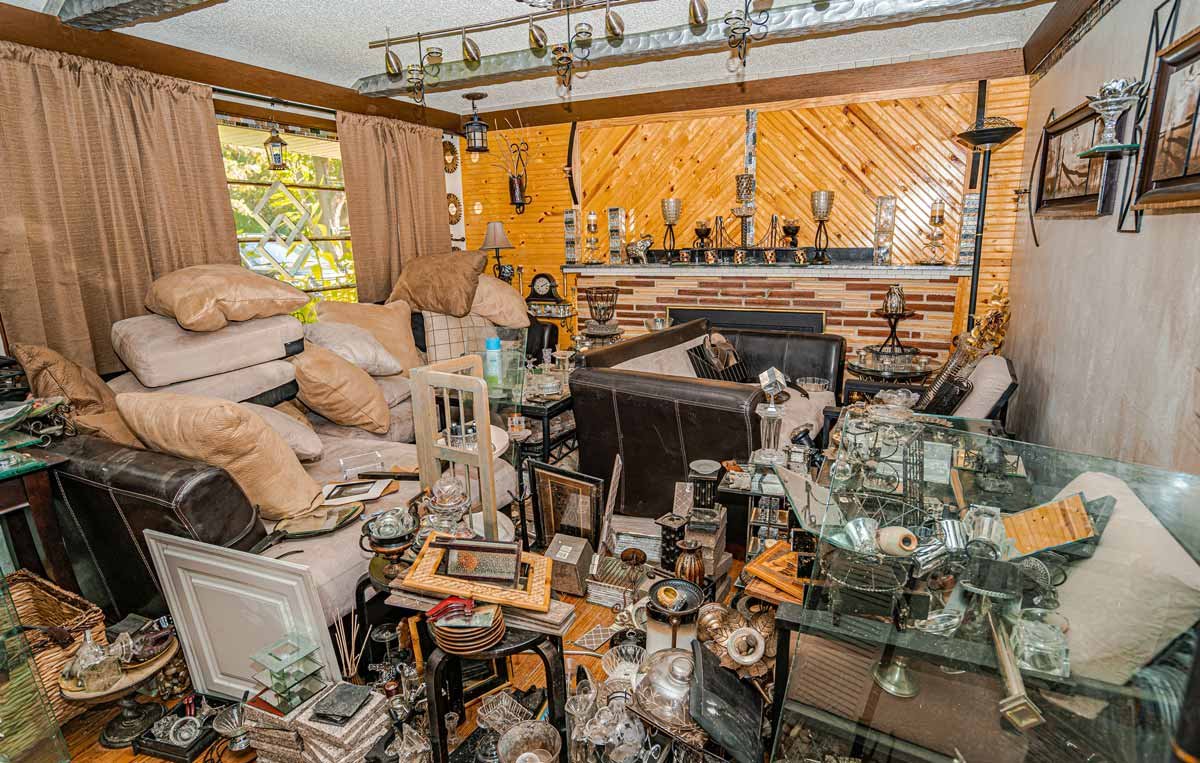Hoarding cleanup